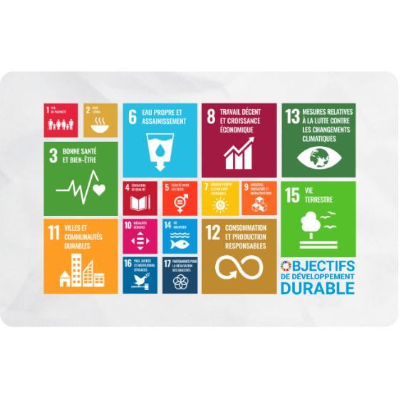 Les objectifs de développement durable des Nations Unis